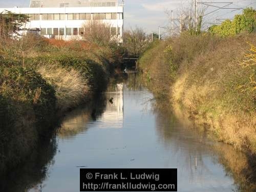 Booterstown Nature Reserve